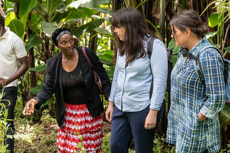 The Small Things-阿鲁沙必去景点