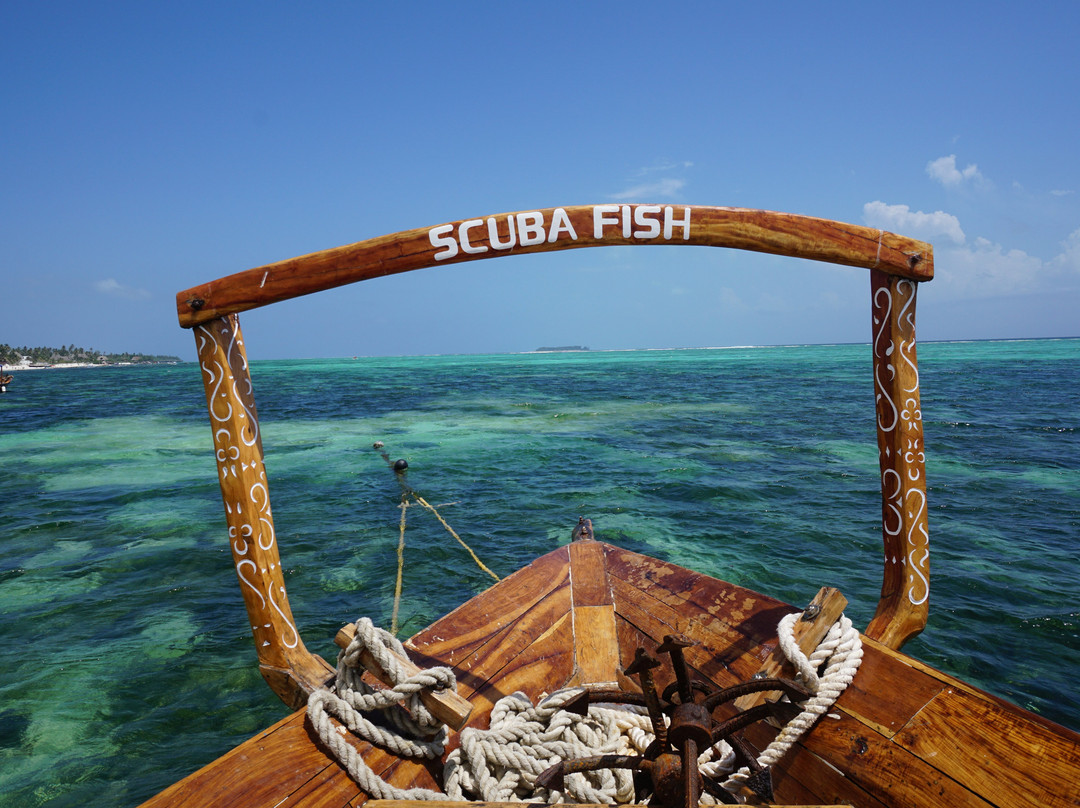 Scubafish Dive Center Ltd-Matemwe必去景点