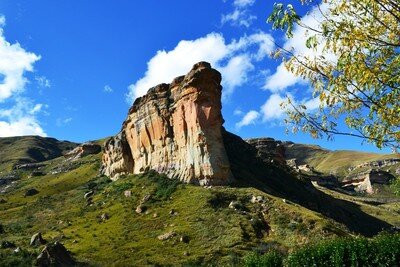 Africabig5safaris, Tours and Adventures景点图片
