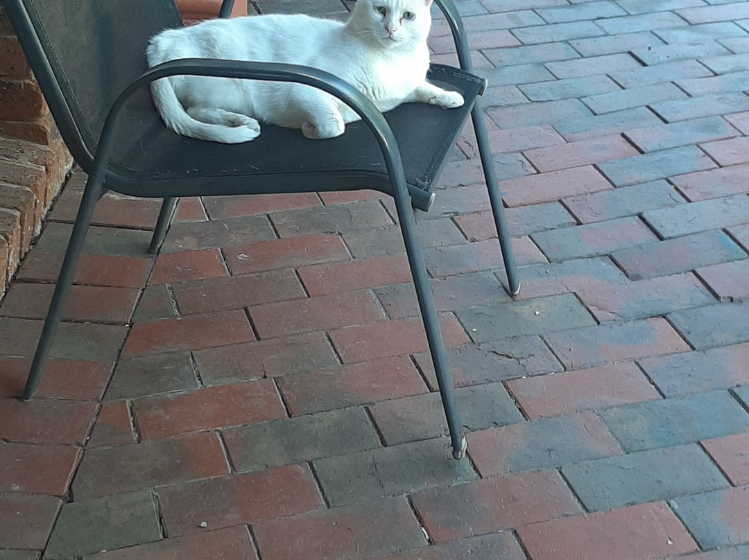 海军上将汽车旅馆主图