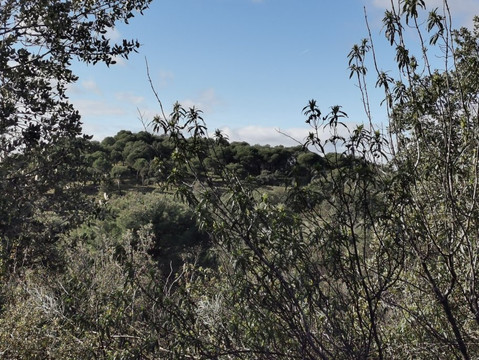 Monte Cuesta Blanca-Galapagar必去景点