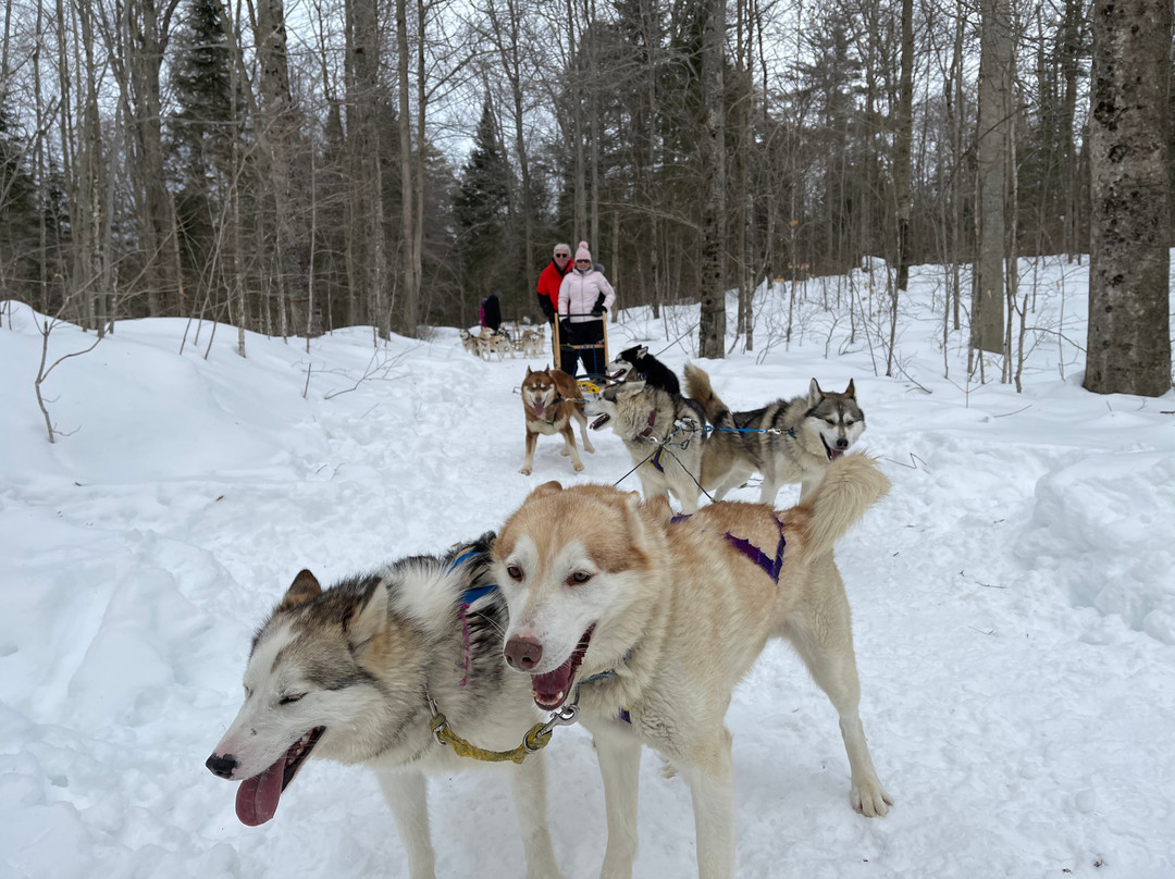 Yours Outdoors-Haliburton必去景点