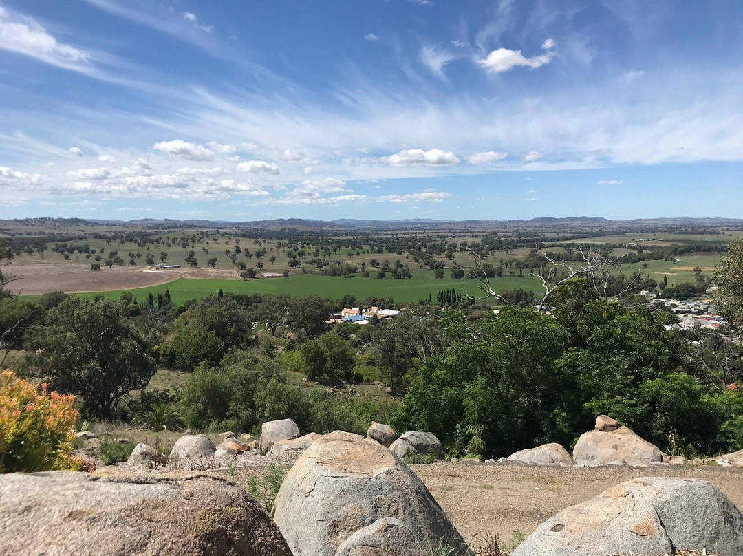 Bellevue Hill Reserve and Lookout景点图片
