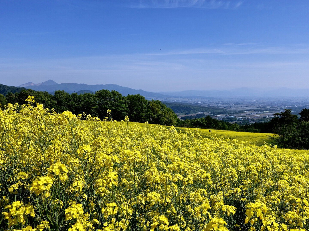 San no Kura Kogen Hanabatake-喜多方市必去景点
