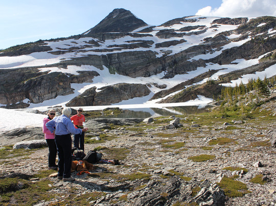 Heli Canada Adventures-雷夫尔斯托克必去景点