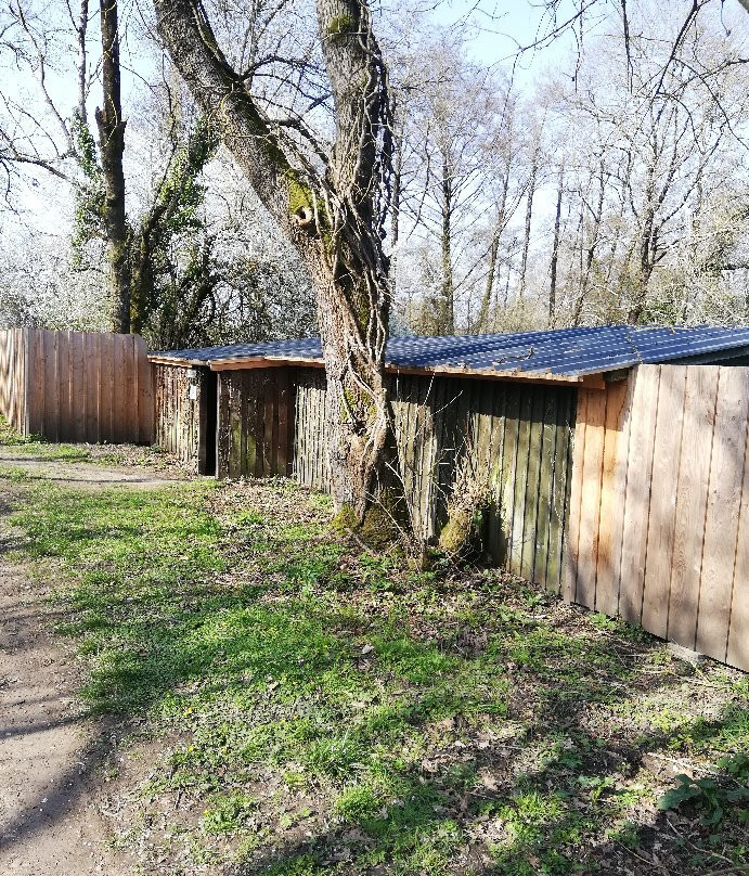 Reserve Naturelle Marais De Bruges景点图片