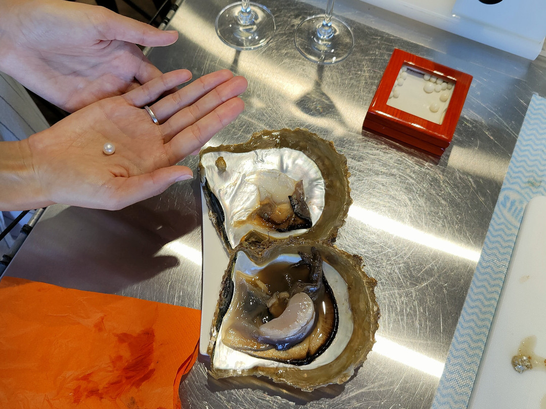 Willie Creek Pearls Elizabeth Quay-珀斯必去景点