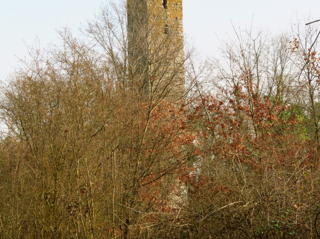 Torre Di Santa Maria Di Luco