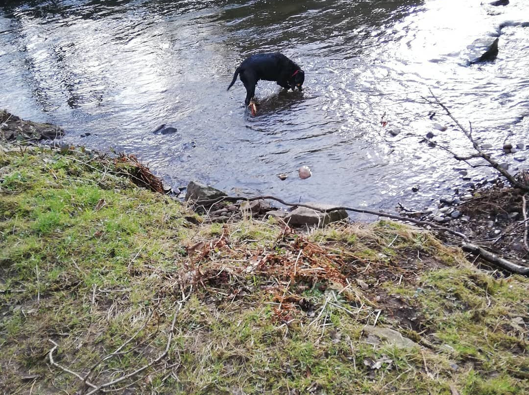 Torrs Riverside Park景点图片