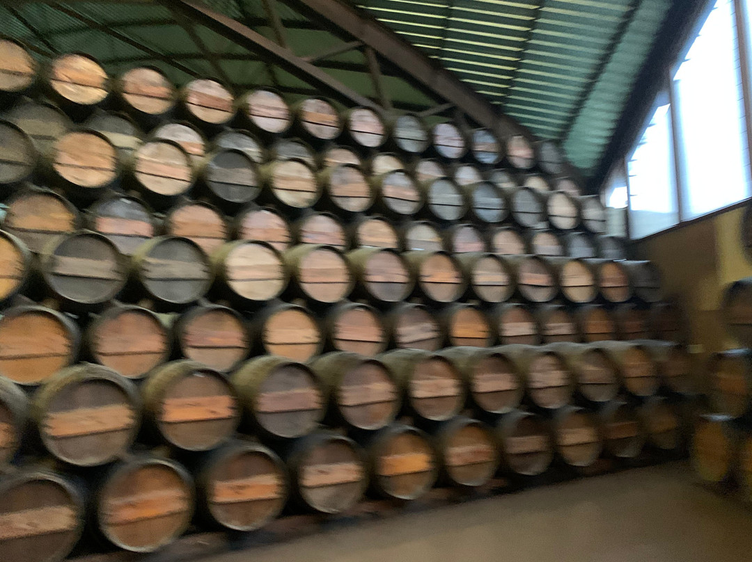 Palácio da Bacalhôa-Vila Nogueira de Azeitao必去景点