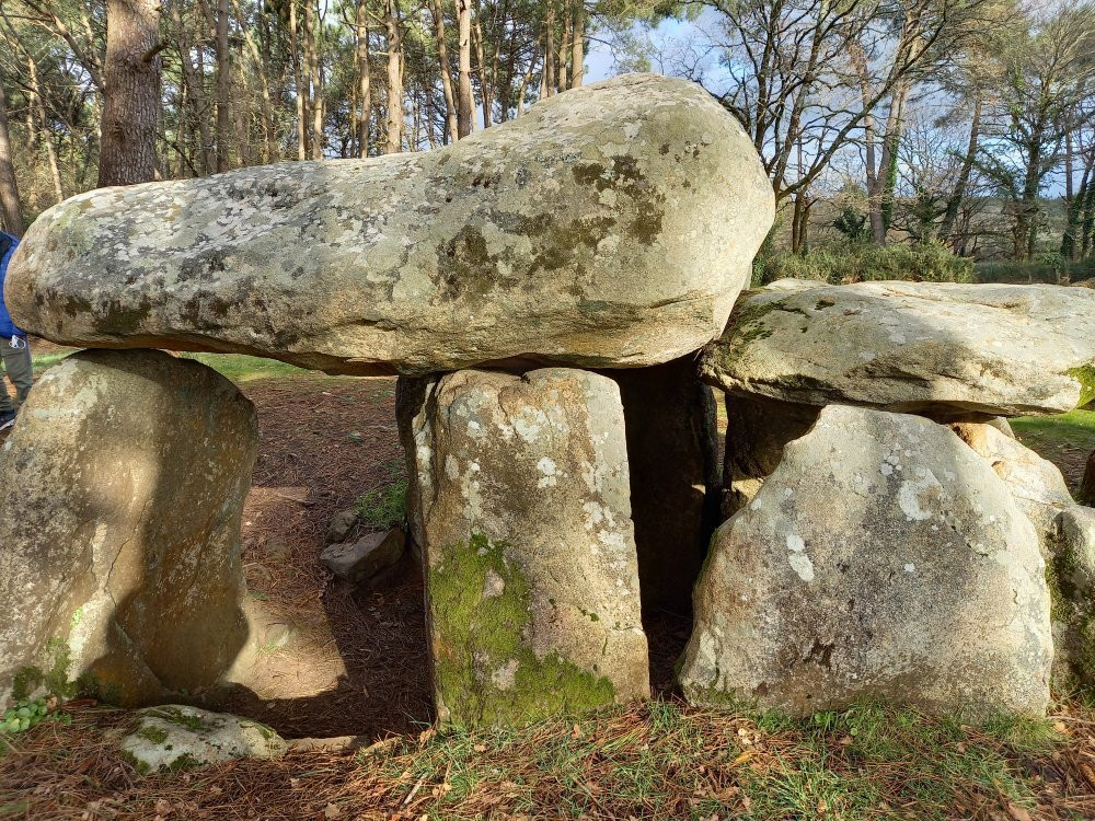 Dolmens de Mané Kerioned景点图片