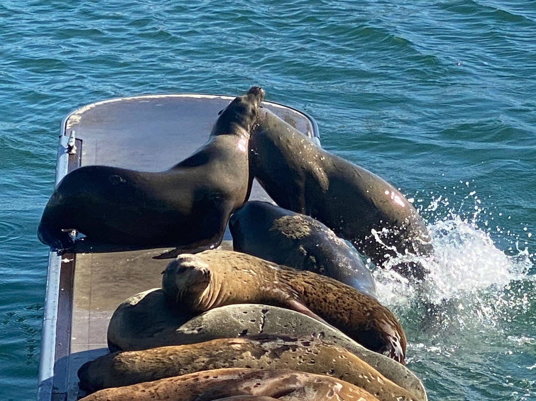 Burton W. Chace Park-玛丽安德尔湾必去景点