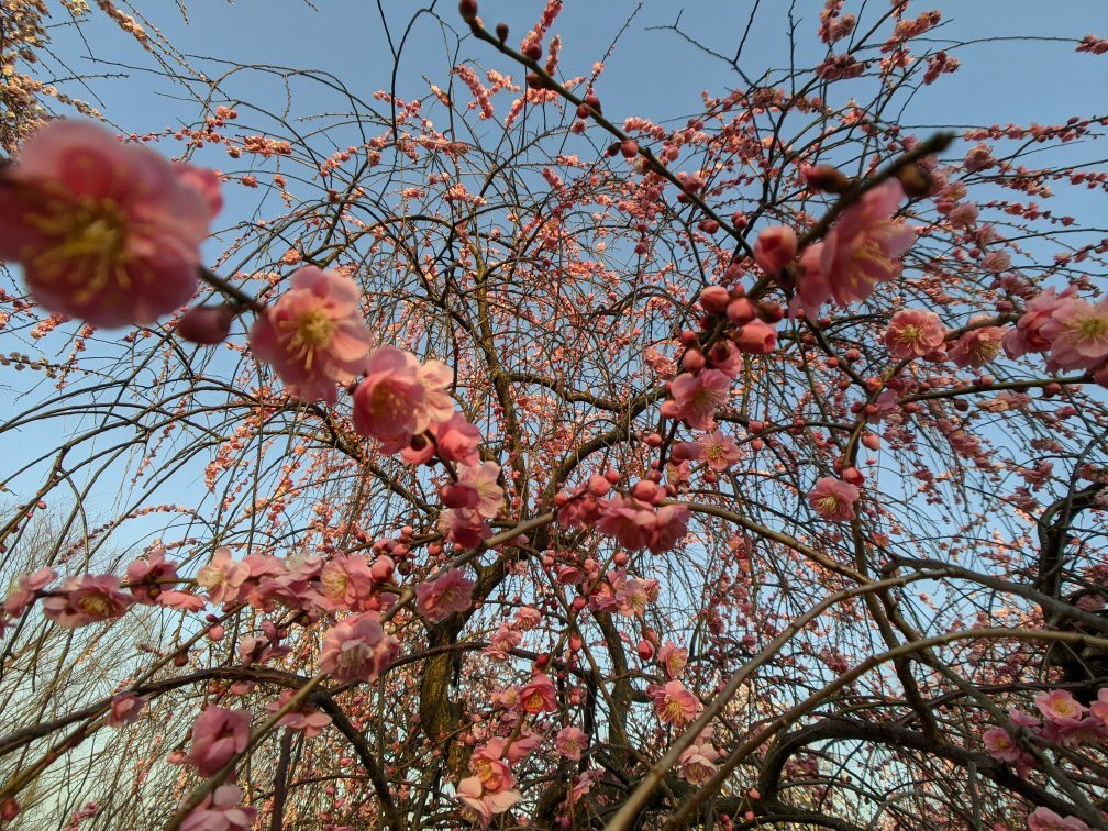 Izumi Recycle Environment Park-和泉市必去景点