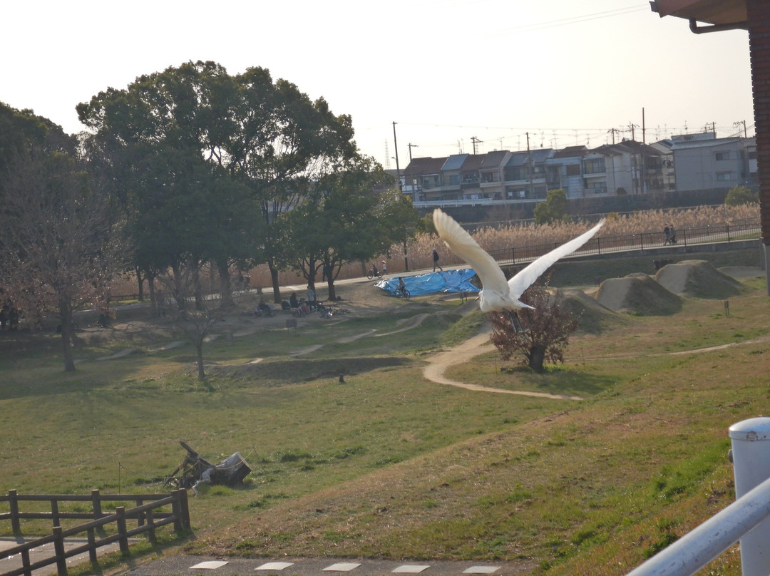 Fukakita Green Parks-大东市必去景点
