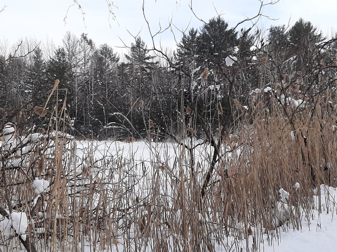 Parc Écologique De L'assomption-L'Assomption必去景点