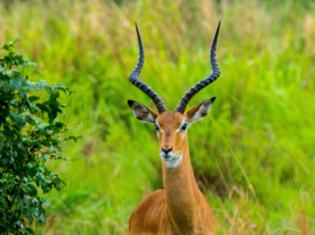 Digitata Tours & Safaris-Iringa必去景点