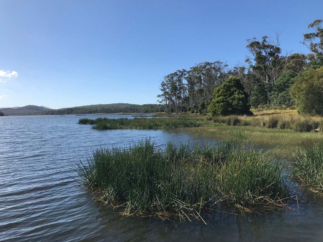 Four Springs Lake景点图片