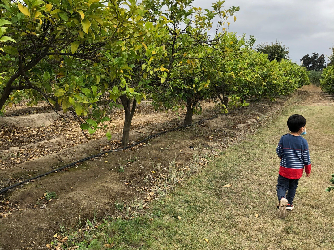 Campo Educativo-Concon必去景点