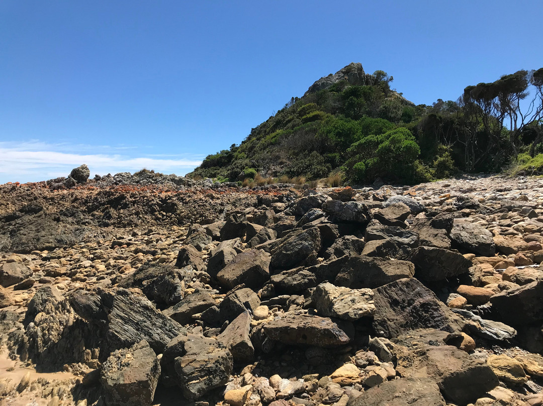 Goat Island-Ulverstone必去景点