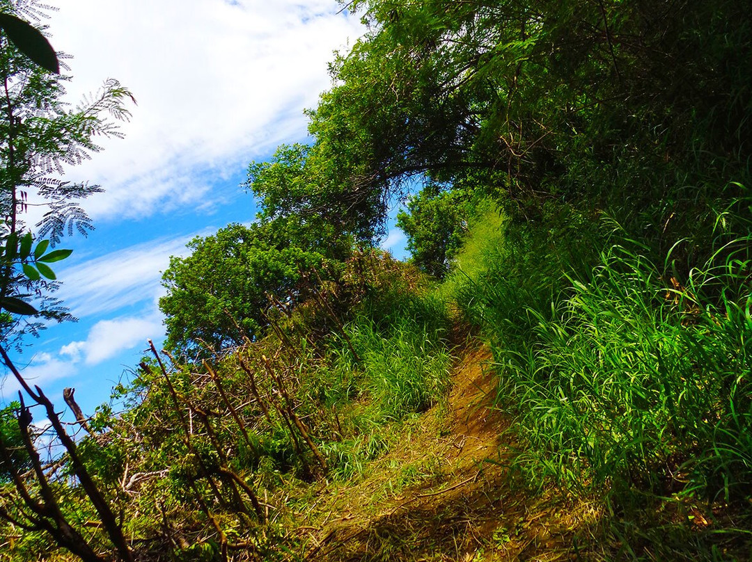 Notre Dame Du Pacifique-努美阿必去景点