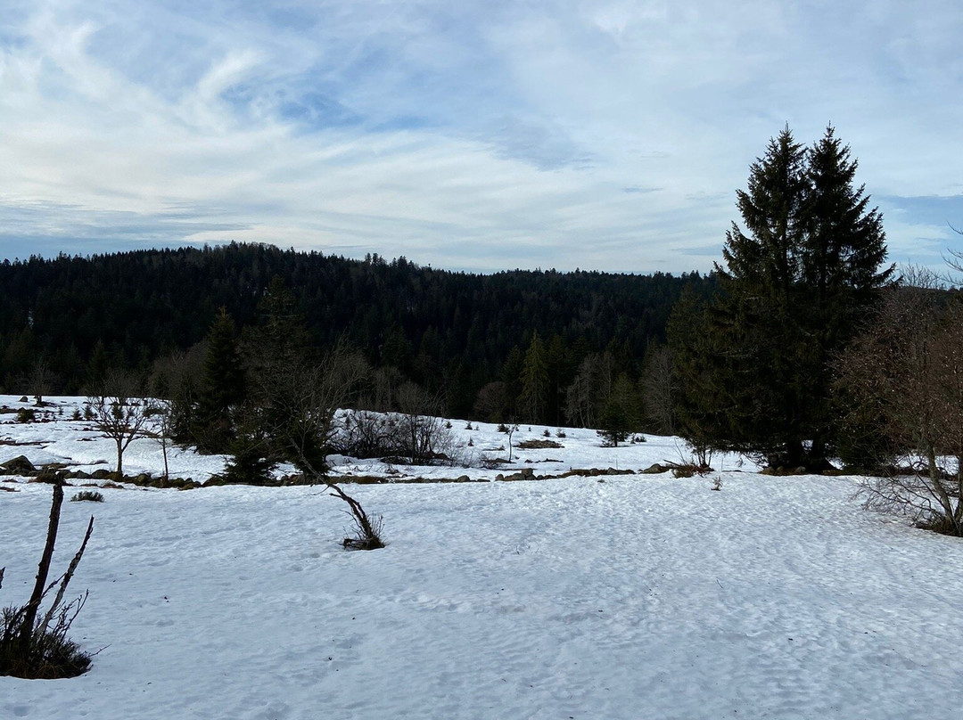 Gerardmer Ski-热拉尔德梅必去景点