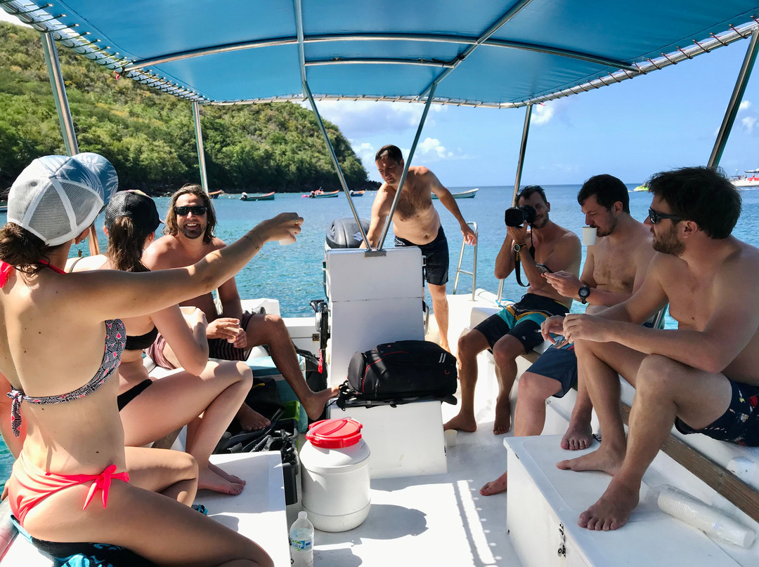 Martinique Plongée - Snorkeling - Chasse - Apnée-Trois-Ilets必去景点