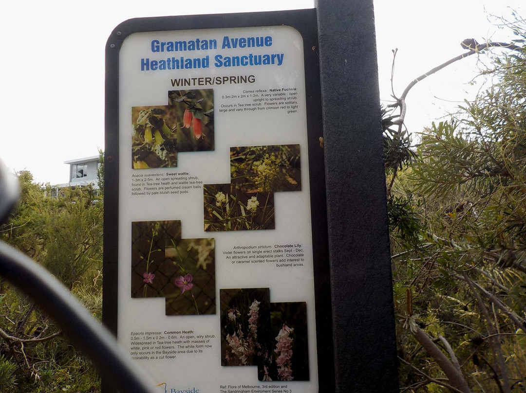 Gramatan Avenue Heathland Sanctuary景点图片