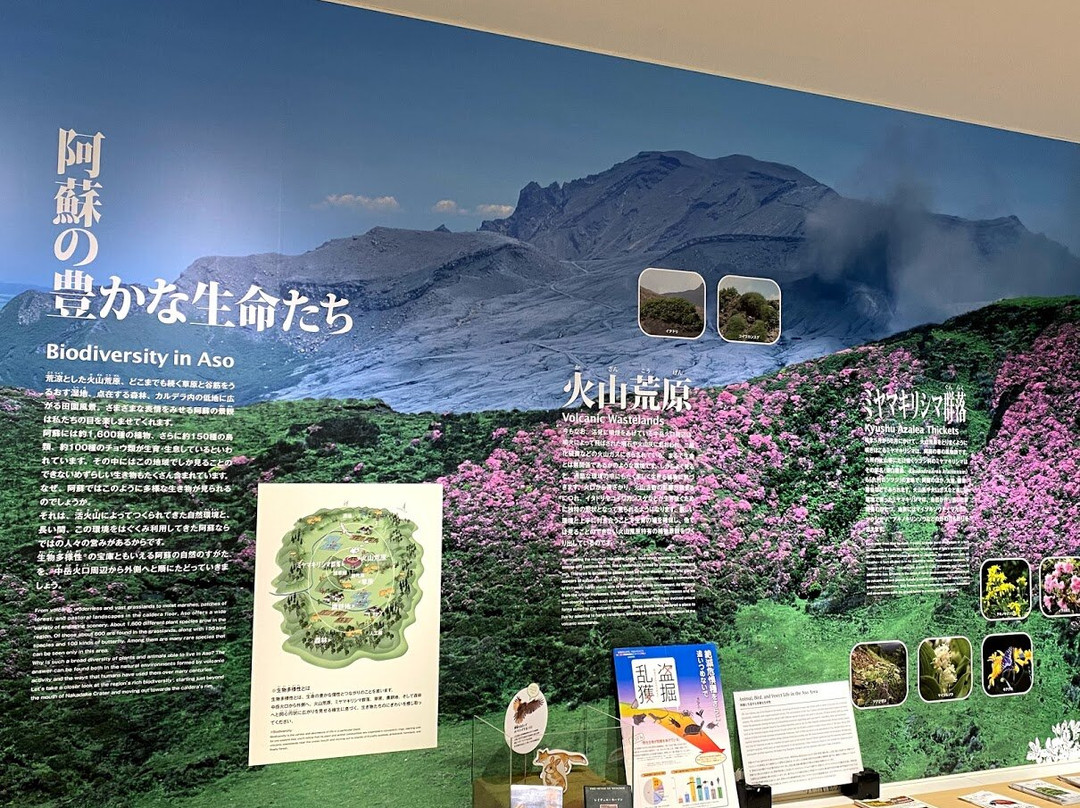 Minami Aso Visitor Center景点图片