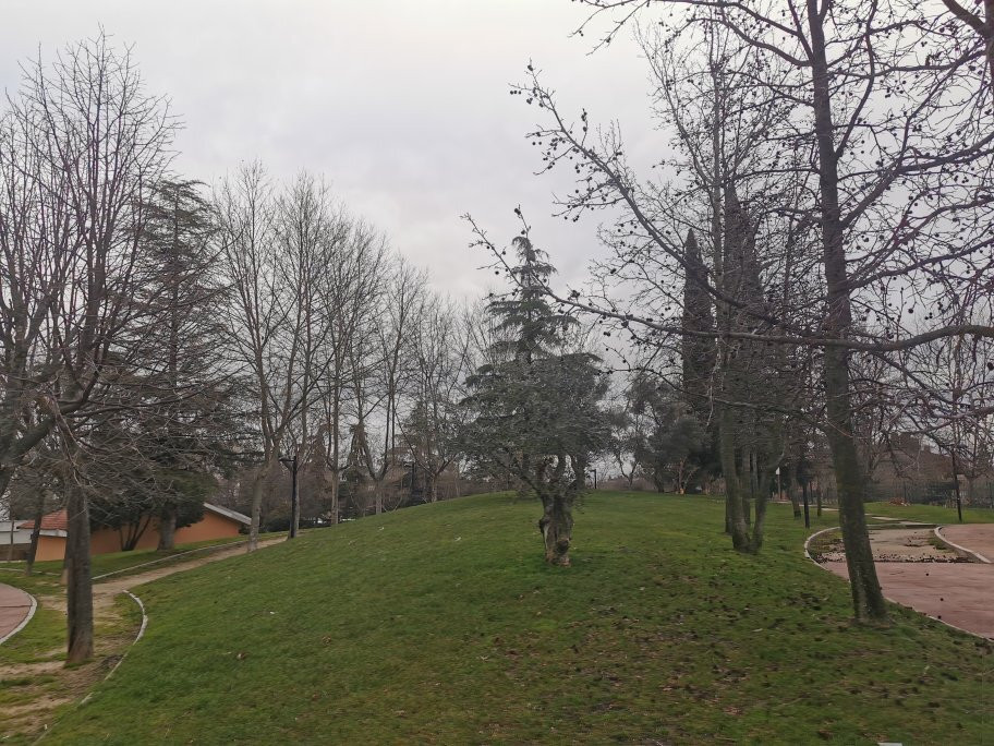 Parque Colon-马亚达洪达必去景点