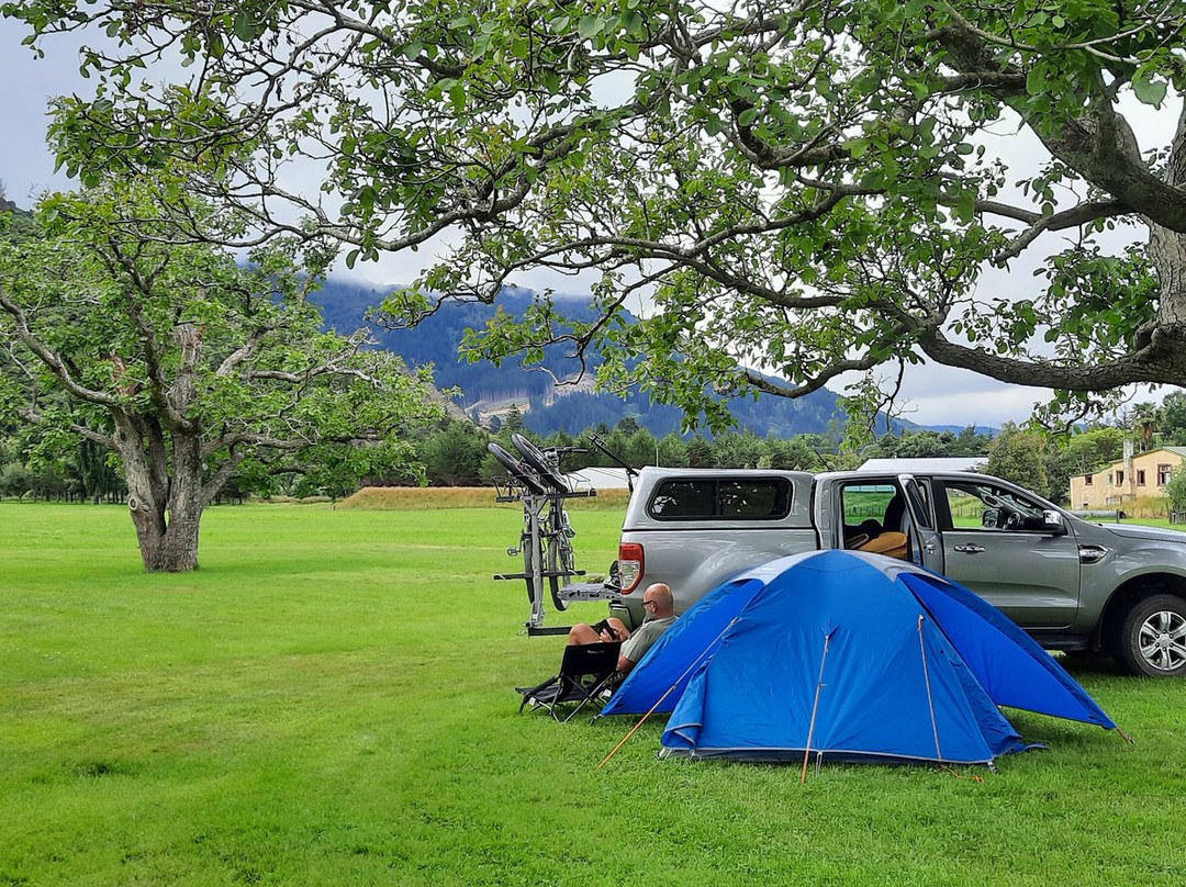 Waves Campsite主图