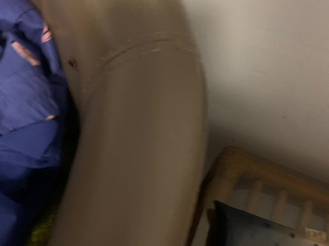 Blue Pelican Motel主图