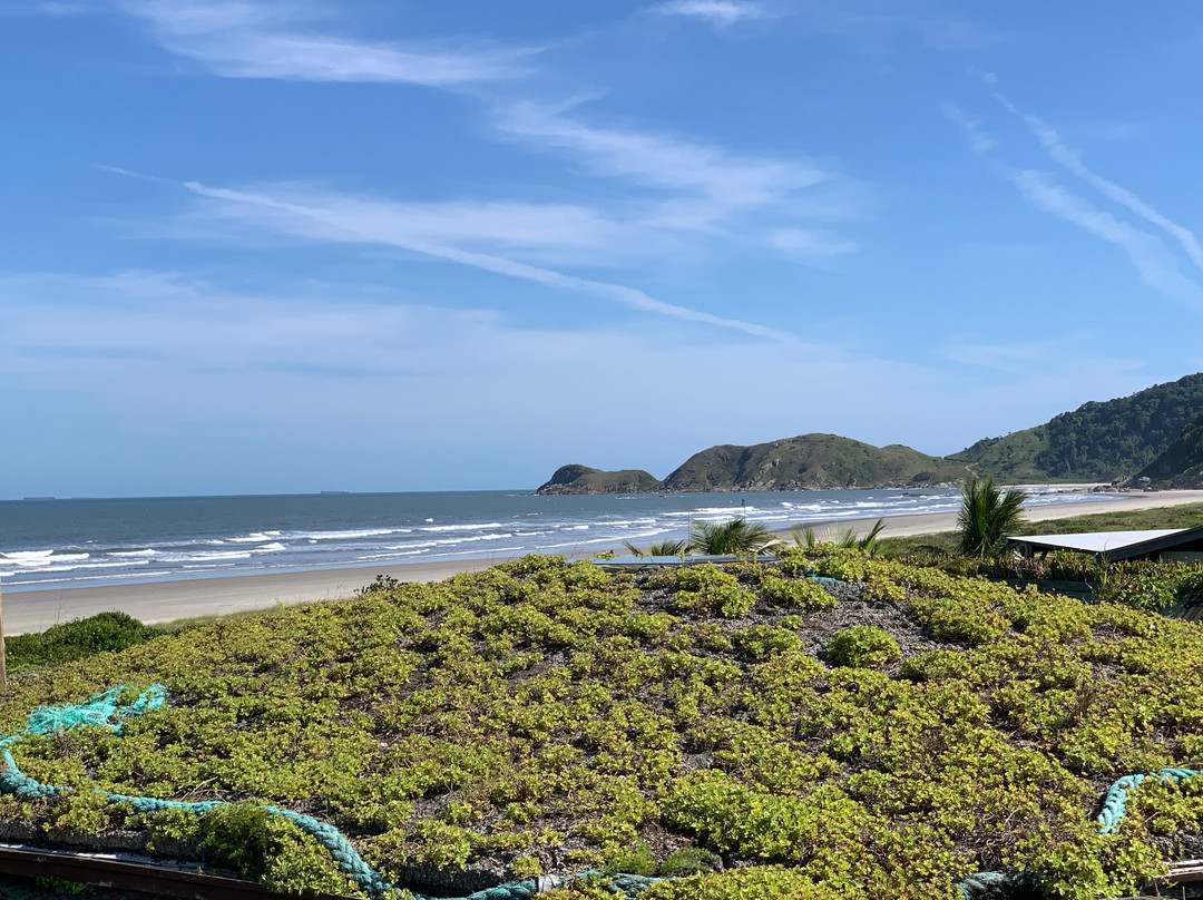 Grajagan Surf Resort主图