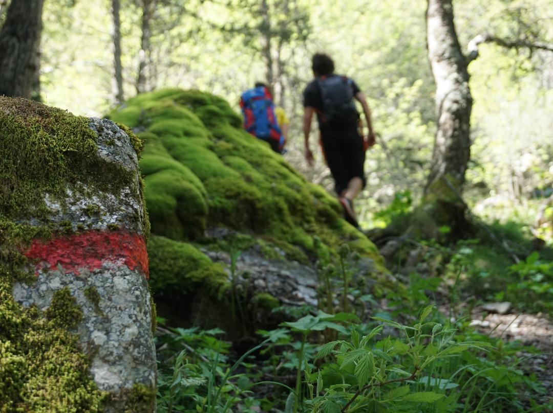 Itinerari de Perafita-莱斯埃斯卡迪斯必去景点