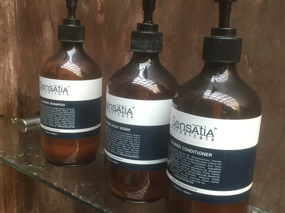 The Pari Sudha主图