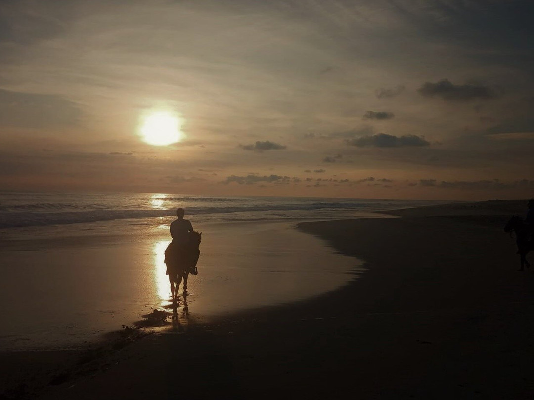 VIVE TOURS OAXACA-Mazunte必去景点