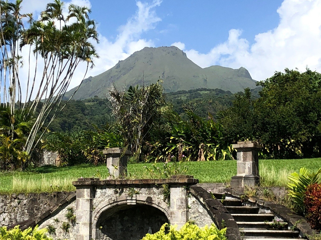 MARTINIQUE BEST SECRET-Saint-Joseph必去景点