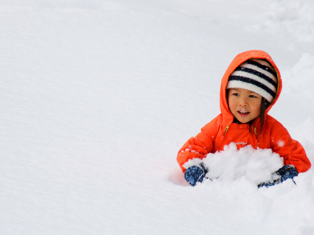 Niseko Kids Club-俱知安町必去景点