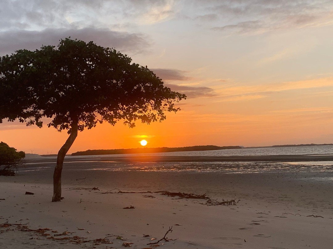 Pousada Rio Aratua主图