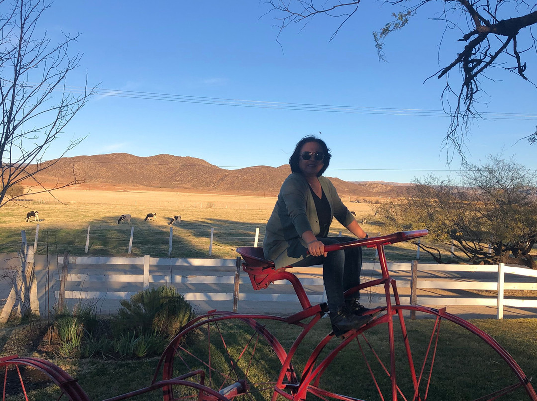 La Cava de Marcelo-恩塞纳达必去景点