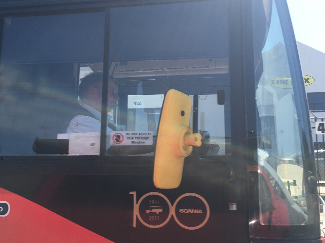 Adelaide Metro Free City Connector Bus and Tram-阿德莱德必去景点