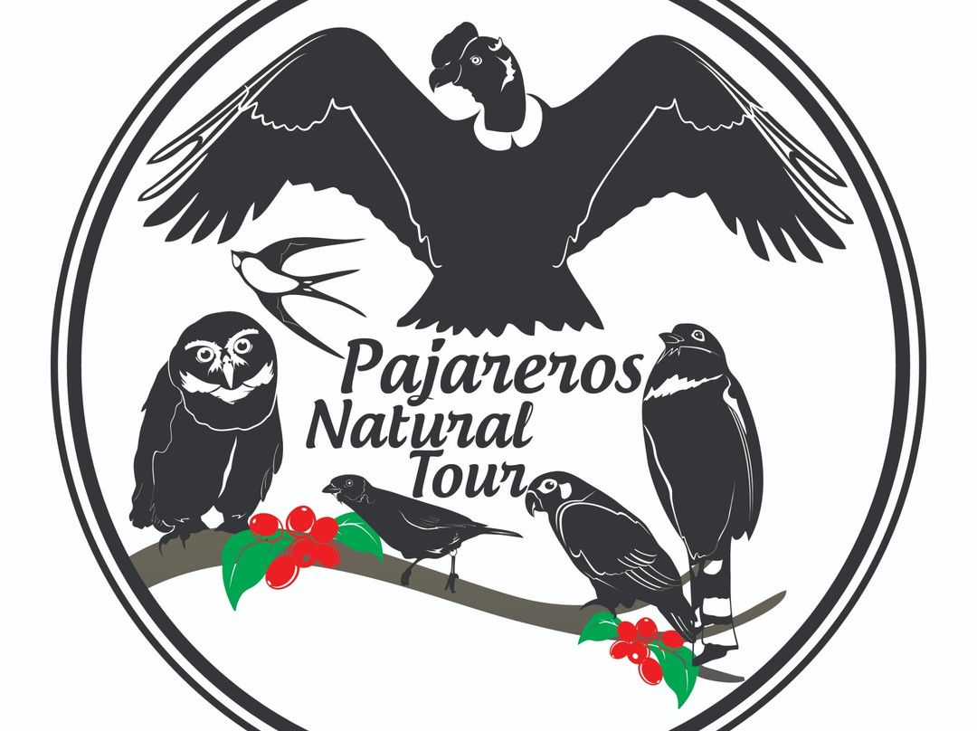 Pajareros Birding Tours