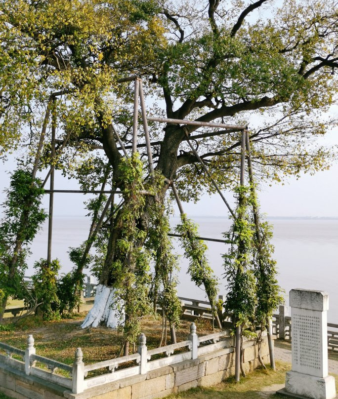 观潮胜地公园景点图片