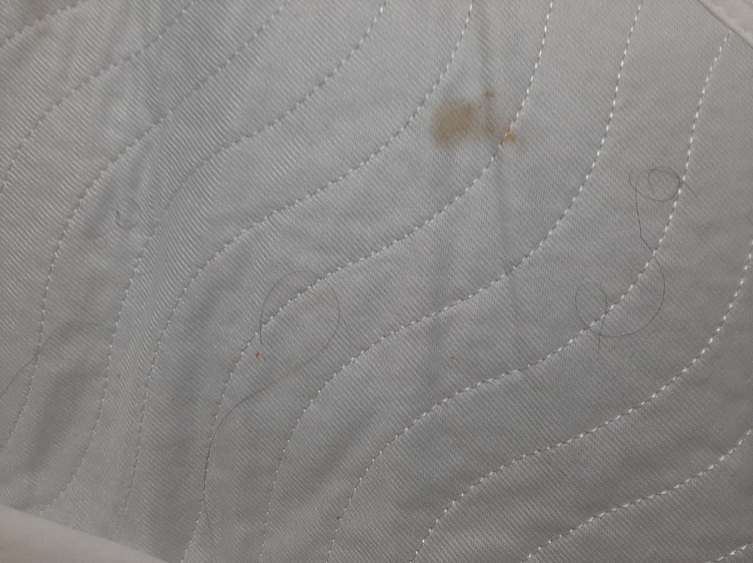 Best Western Temple Inn & Suites主图