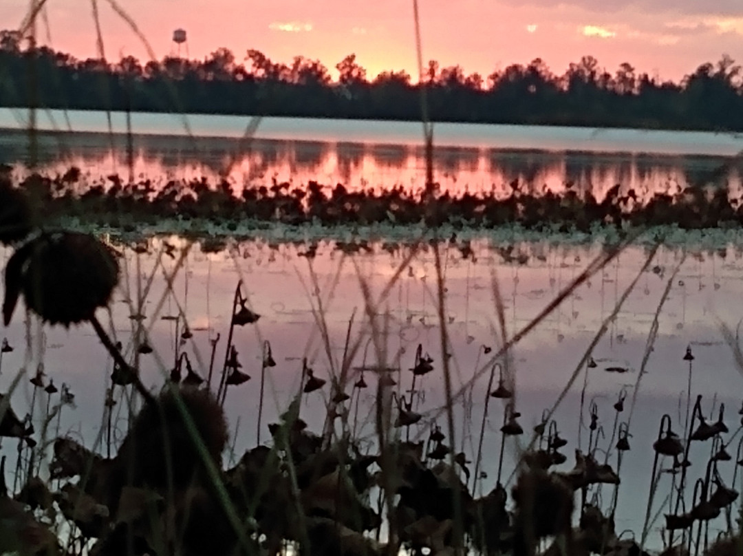 Jim Woodruff Dam-Sneads必去景点