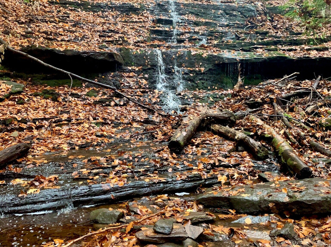 Wadsworth Falls State Park-米德尔敦必去景点