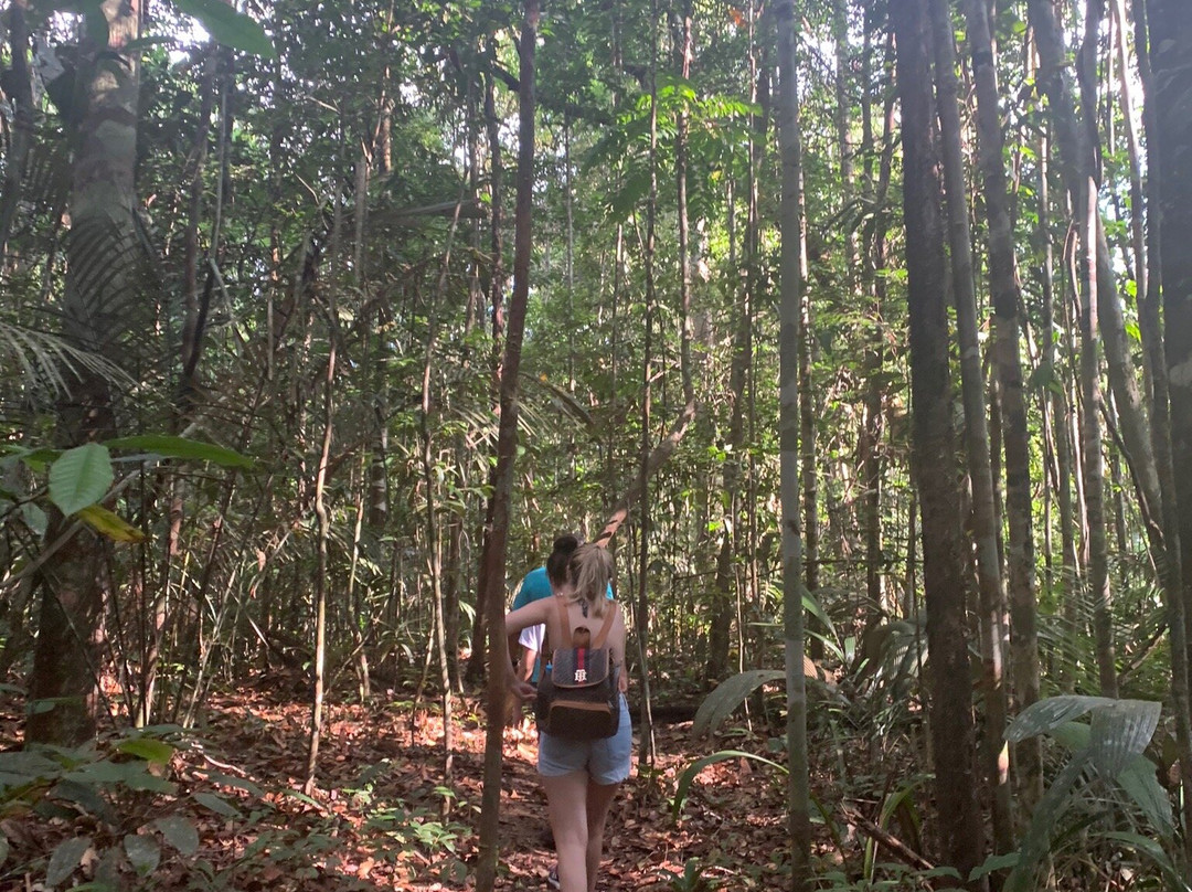 Turismo na Amazônia - Gruta da Judeia-Presidente Figueiredo必去景点