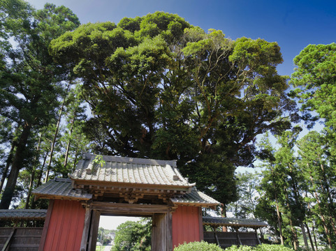 Emmeiji Temple-袖浦市必去景点