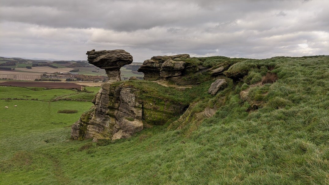 Lomond Hills Regional Park景点图片