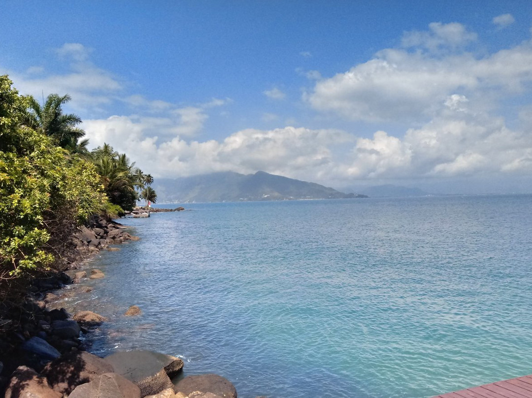 Praia da Ponta das Canas-伊利亚贝拉必去景点
