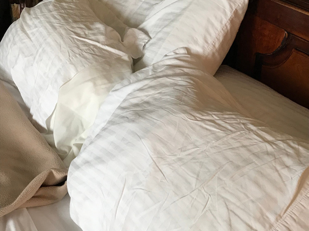 Lafayette Hotel主图